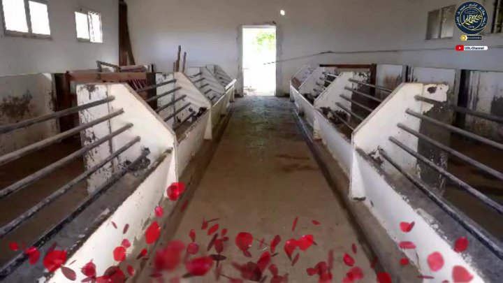 Visite virtuelle 2025 | Institut S.Agro| Université de Sidi Bel Abbès_Algérie.